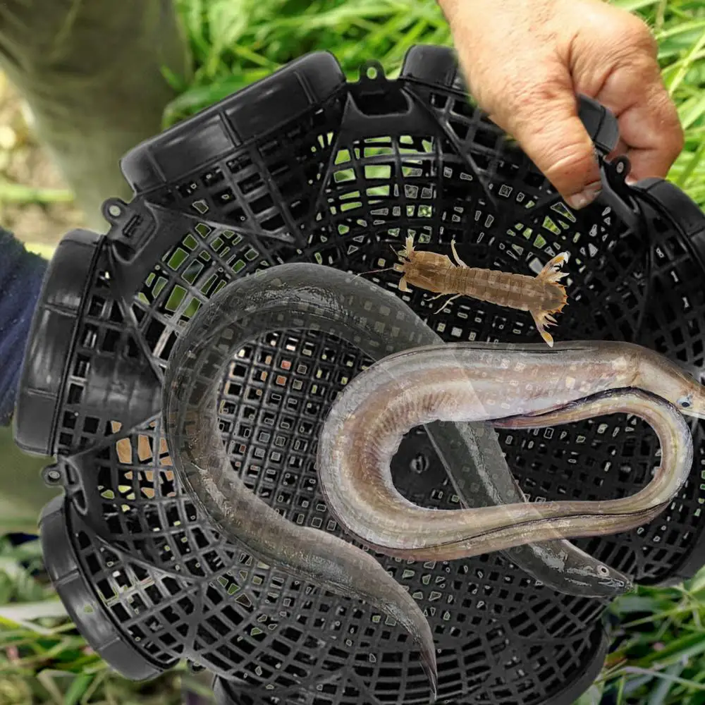 ( ১ পিচ ) ১ পিচ নিলে - ( ৪৫০ টাকা পিচ ) Fishing Trap Cage for Shrimp Loach Eel Crab and Small Fish
